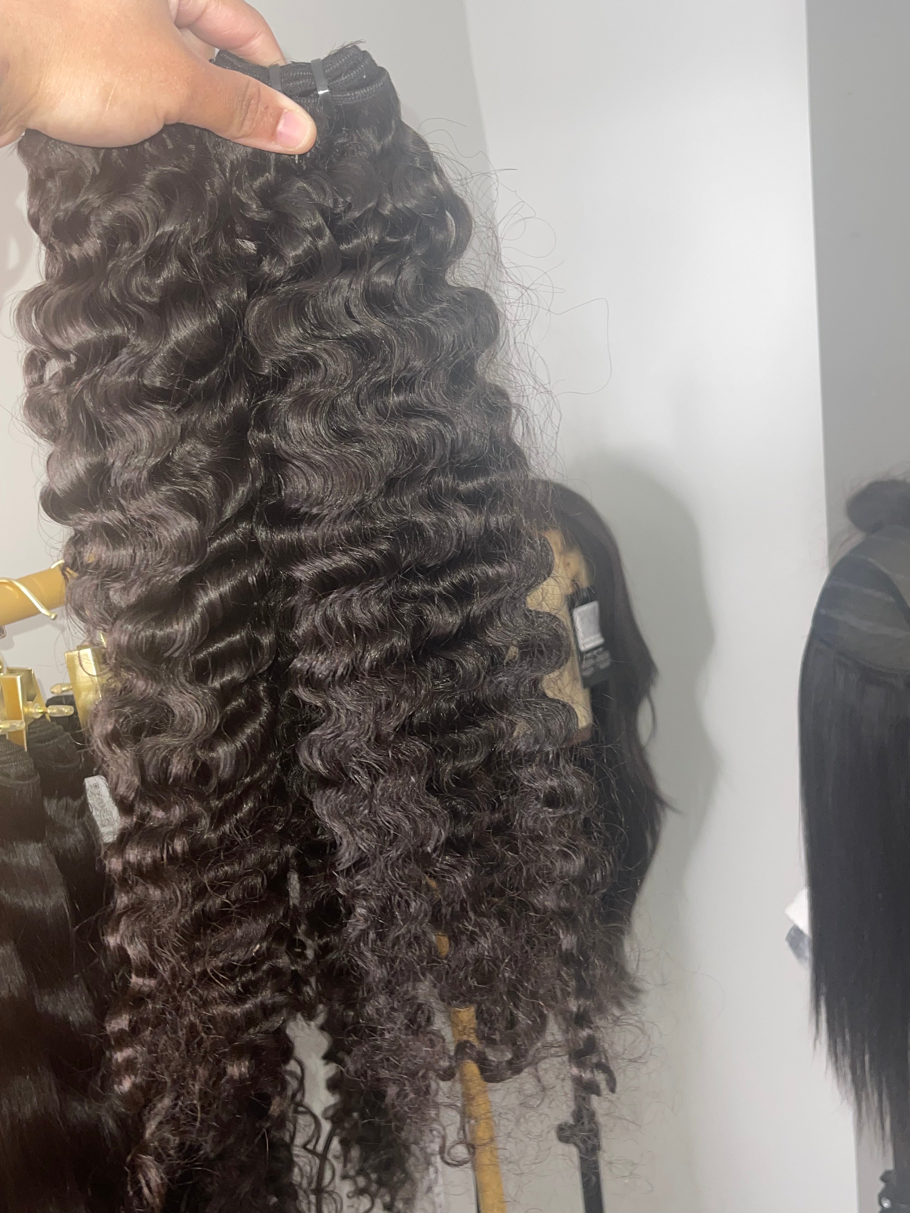 Burmese Curly